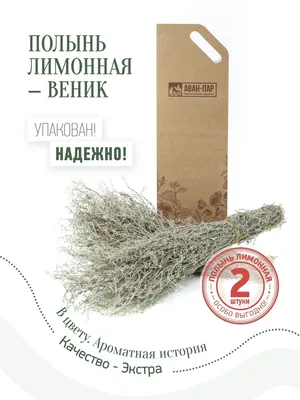 Полынь. Её действие так и не изучено. Коротко, что мы о ней знаем точно. |  ГРИМУАР | Дзен