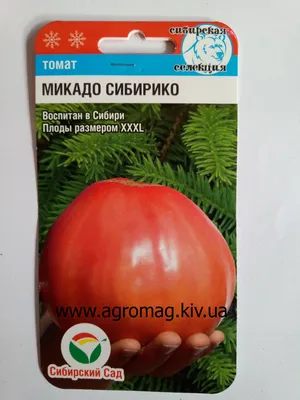 Томат Микадо Сибирико/20шт/Сибсад -Агромаркет на Лесной-Купить в  Украине-Киев