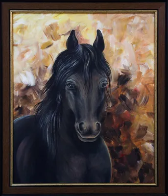 Черная лошадь #757 | Животные - evinarts.com