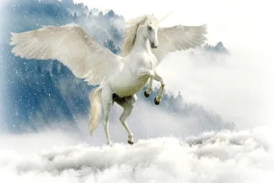 Притча о белом коне - Лечебно-логопедический центр в Пловдиве