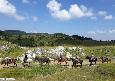 Конная экскурсия в Болгарии. Исследуйте горы Родопы верхом на лошади.