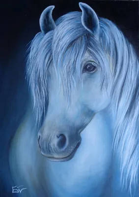 Белая Лошадь #764 | Животные - evinarts.com
