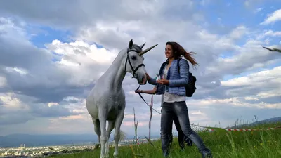 Реклама с лошадью - Эзда София
