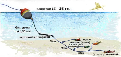 Виды оснасток для горной речки | Амурский Берег - территория, свободная для  творчества