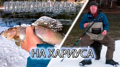 Поплавочная удочка на Хариуса. Моя Оснастка. Настрой, Выбор, Тактика -  YouTube