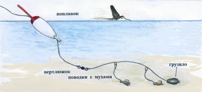 Виды оснасток для горной речки | Амурский Берег - территория, свободная для  творчества