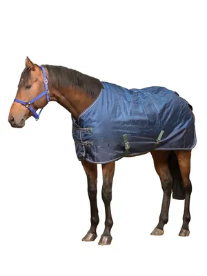 Попона для лошади Sweethorse 11139518 купить в интернет-магазине Wildberries