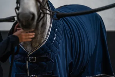 Попона флисовая для лошади синяя POLAR 500 Fouganza — купить в  интернет-магазине decathlon.ru