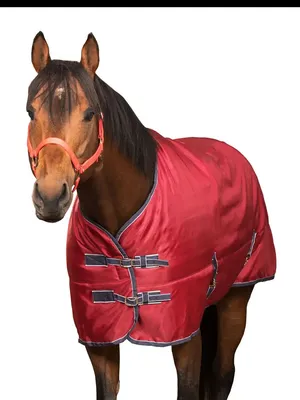 Попона для лошади Sweethorse 11139517 купить за 989 700 сум в  интернет-магазине Wildberries
