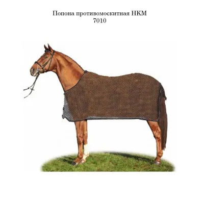 Попона противомоскитная крупная сетка HKM для лошади. Размеры 145см, 155  см, 165 см. Цвет черный, синий. | Спорт и развлечения | АлиЭкспресс