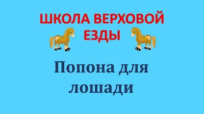 Попона для лошади - YouTube