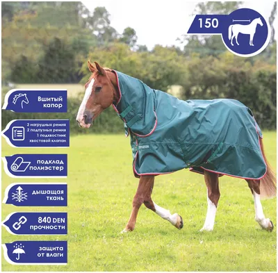 Попона прогулочная для лошади с капором SHIRES 150 (Великобритания) —  купить в интернет-магазине по низкой цене на Яндекс Маркете