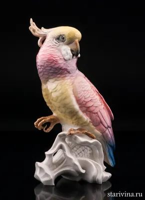 Скачать бесплатно обои для рабочего стола Яркий попугай какаду