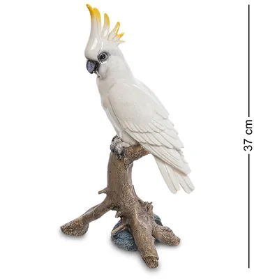 ᐉ Модульная картина ArtPoster Белый попугай какаду с желтой челкой 132x92  см Модуль №11 (001172)