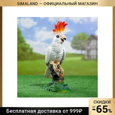 Попугай Корелла Нимфа белая белый цвет., цена 1500 грн — Prom.ua  (ID#124476545)