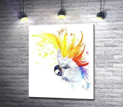 Фрески на стену попугай, какаду, птица в Москве, aртикул: 2034 HD 32