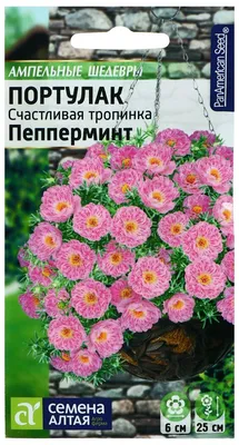 Семена цветов Портулак \"Счастливая тропинка\" Пепперминт, О, цп, 5 шт —  купить в интернет-магазине по низкой цене на Яндекс Маркете