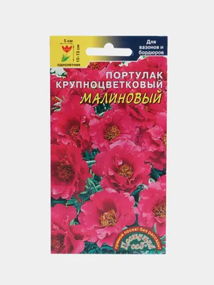 Портулак махровый Малиновый 0,05гр / Цветущий сад за 49.9 ₽ купить в  интернет-магазине KazanExpress