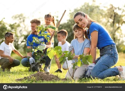 ⬇ Скачать картинки Посадка деревьев дети, стоковые фото Посадка деревьев  дети в хорошем качестве | Depositphotos