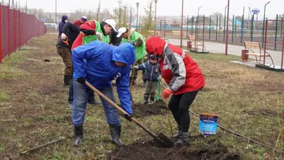 В Бишкеке продолжается посадка деревьев | Мэрия