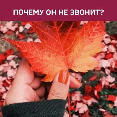 Почему мужчина не звонит?