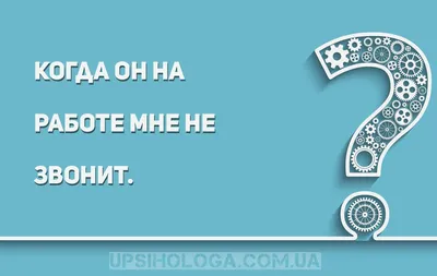 Зоозащитница Ольга Новосёлова стала жертвой (не единственной) человека в  неадекватном состоянии