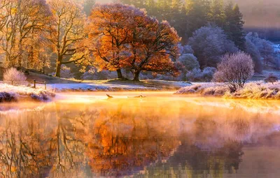Обои иней, осень, свет, деревья, природа, река, утро, пар, ноябрь картинки  на рабочий стол, раздел природа - скачать