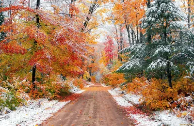 Осень переходящая в зиму - 51 фото