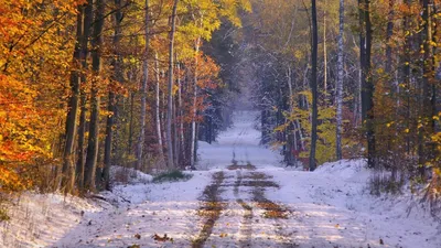Ноябрь принёс в Асекеевский район резкое похолодание и снег - Родные  просторы