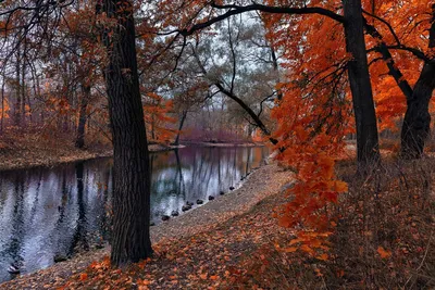 Красивые пейзажи ноября - 76 фото