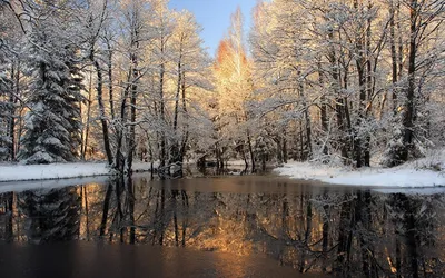 Первый снег в лесе в горах Солнечный день в ноябре Стоковое Изображение -  изображение насчитывающей природа, день: 44388017