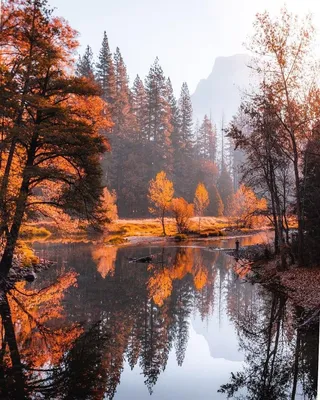 Осень ноябрь природа - фото и картинки: 62 штук