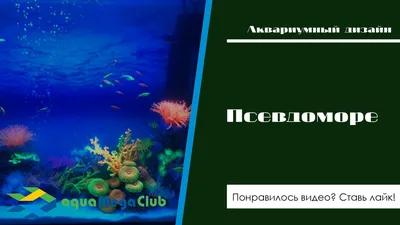 Аквариум \"псевдоморе\" - запуск и оформление | Аквариумы и аквариумистика |  Дзен