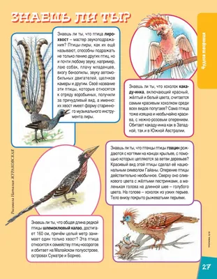 Детский христианский журнал Тропинка № 163 by Христианская периодика - Issuu