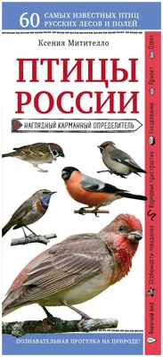 Атлас-определитель. птицы европейской части россии — купить по низкой цене  на Яндекс Маркете