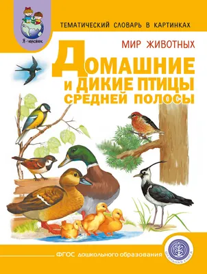 Мир животных. Домашние и дикие птицы Средней полосы. Зимующие и  перелётные», – скачать pdf на ЛитРес