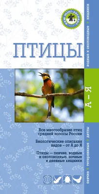 Книга Птицы Краткий карманный определитель Ксения Митителло - купить,  читать онлайн отзывы и рецензии | ISBN 978-5-699-59291-3 | Эксмо