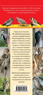 Книга Птицы Определитель птиц русских лесов и полей Ксения Митителло -  купить, читать онлайн отзывы и рецензии | ISBN 978-5-699-68375-8 | Эксмо