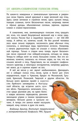 Певчие птицы. Средняя полоса европейской части России. Определитель с  голосами птиц» Владимир Архипов, Евгений Коблик - купить книгу «Певчие птицы.  Средняя полоса европейской части России. Определитель с голосами птиц» в  Минске —