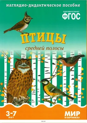 Купить ФГОС Мир в картинках. Птицы средней полосы в интернет-магазине  OKi.by с доставкой или самовывозом