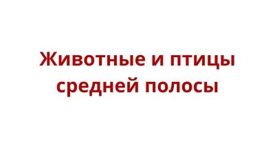 Презентация \"Животные и птицы средней полосы\" | УДОБА