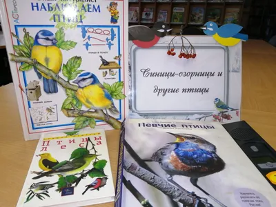 Подведены итоги окружного конкурса, посвященного Международному дню птиц |  Региональный молодежный центр