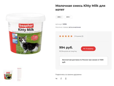 Разведение котят: сколько это стоит и можно ли заработать на продаже котят