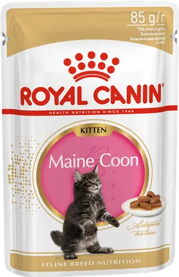 Пауч для котят, Royal Canin Kitten Maine Coon, в возрасте от 3 до 15  месяцев купить с доставкой в интернет-магазине зоогастроном.ру