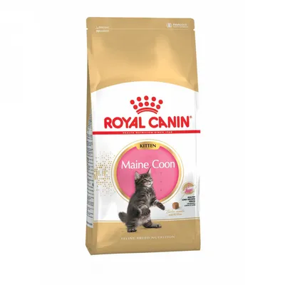 Royal Canin Maine Coon Kitten сухой корм для котят породы мейн - кун - 400  г - купить в Москве | КотМатрос