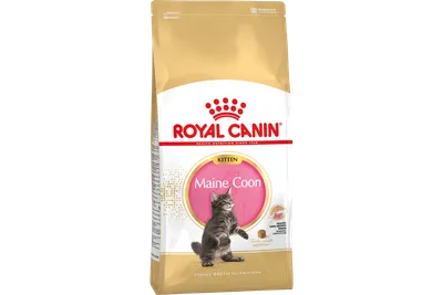 Royal Canin Mainecoon Kitten корм для котят породы мейн-кун в возрасте от 3  до 15