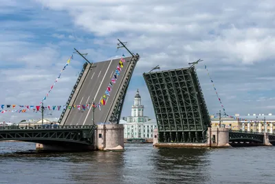 Разводные мосты санкт петербурга фото