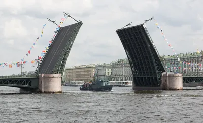 Экскурсии на развод мостов в Санкт-Петербурге на теплоходе по Неве