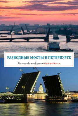 Разводные мосты Питер | St petersburg, Petersburg, Landmarks