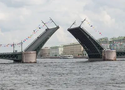 Разводка, развод мостов в Санкт-Петербурге: график 2023, расписание, карта,  где посмотреть, экскурсии